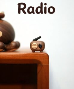 Radio refrigerator magnet